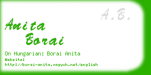 anita borai business card